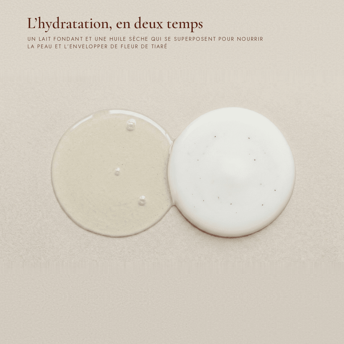 Huile sèche ou lait pour le corps : comment choisir ? - Solen